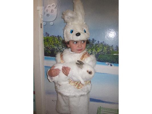 PoulaTo: ΑΠΟΚΡΙΑΤΙΚΗ ΣΤΟΛΗ ΛΑΓΟΥΔΑΚΙ